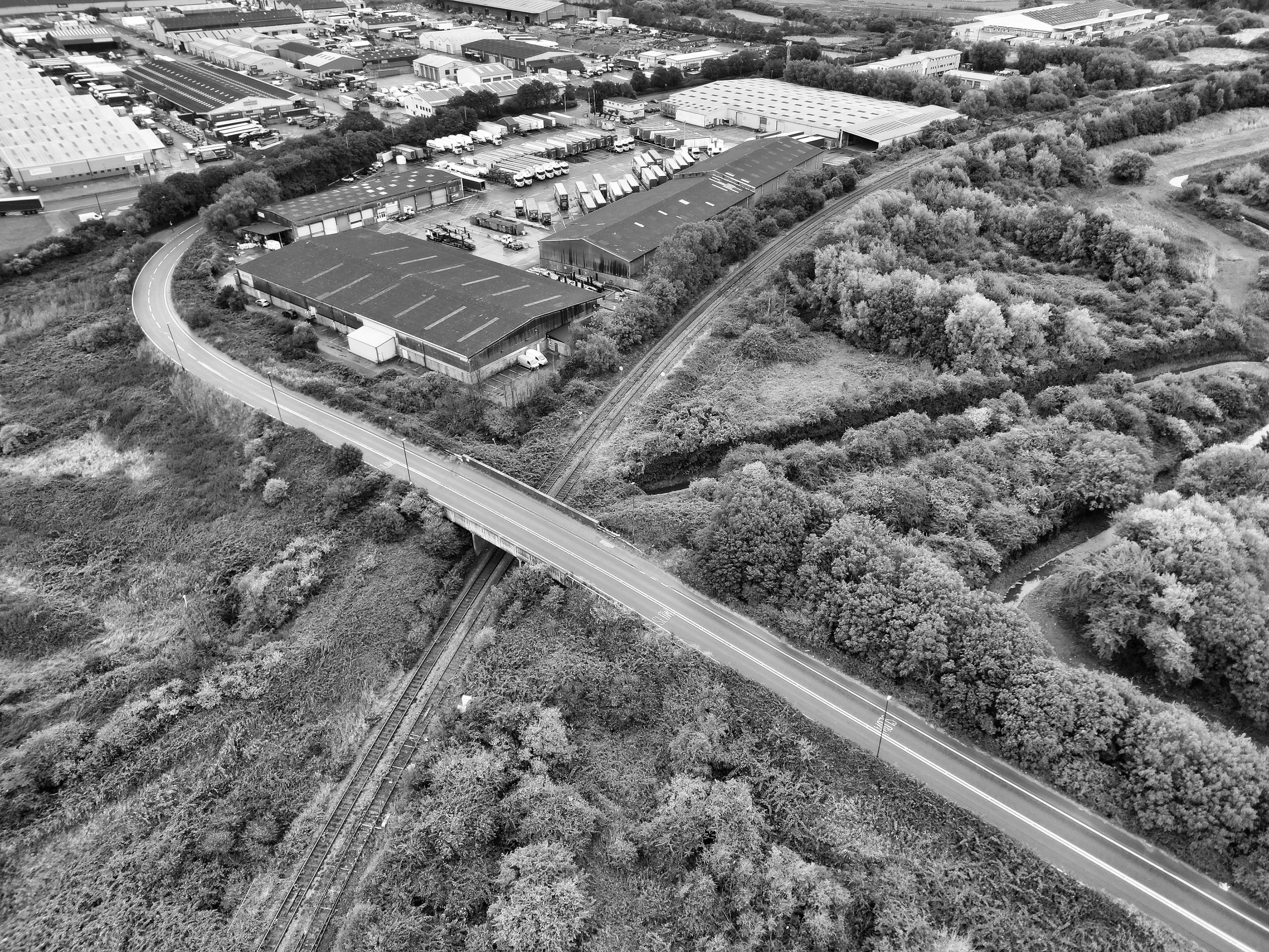Surrey Council Advances Costco Warehouse Plan on 164th Street Amid Tree and Traffic Concerns