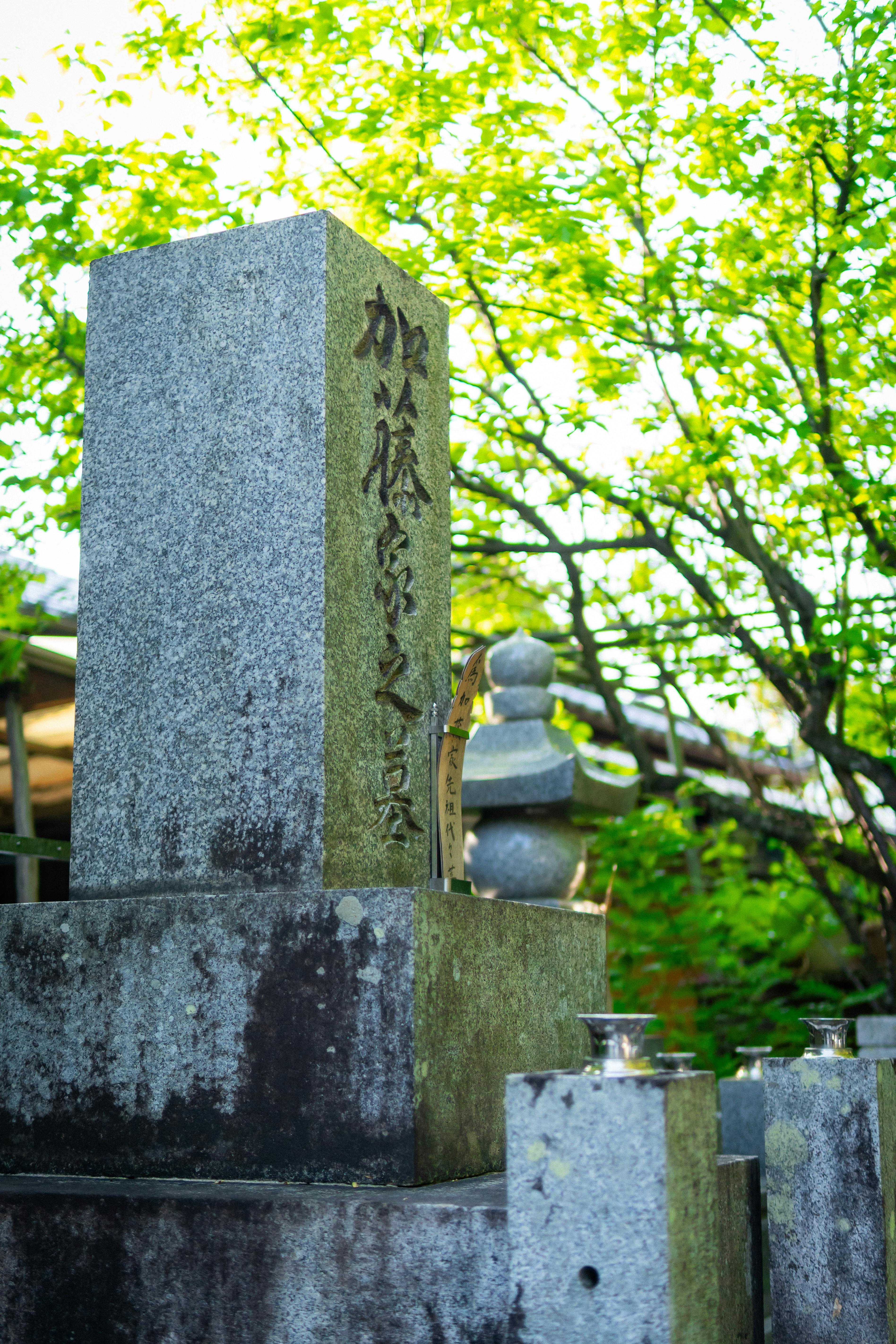 Peaceful Japanese tombstone surrounded by vibrant greenery and serene atmosphere.