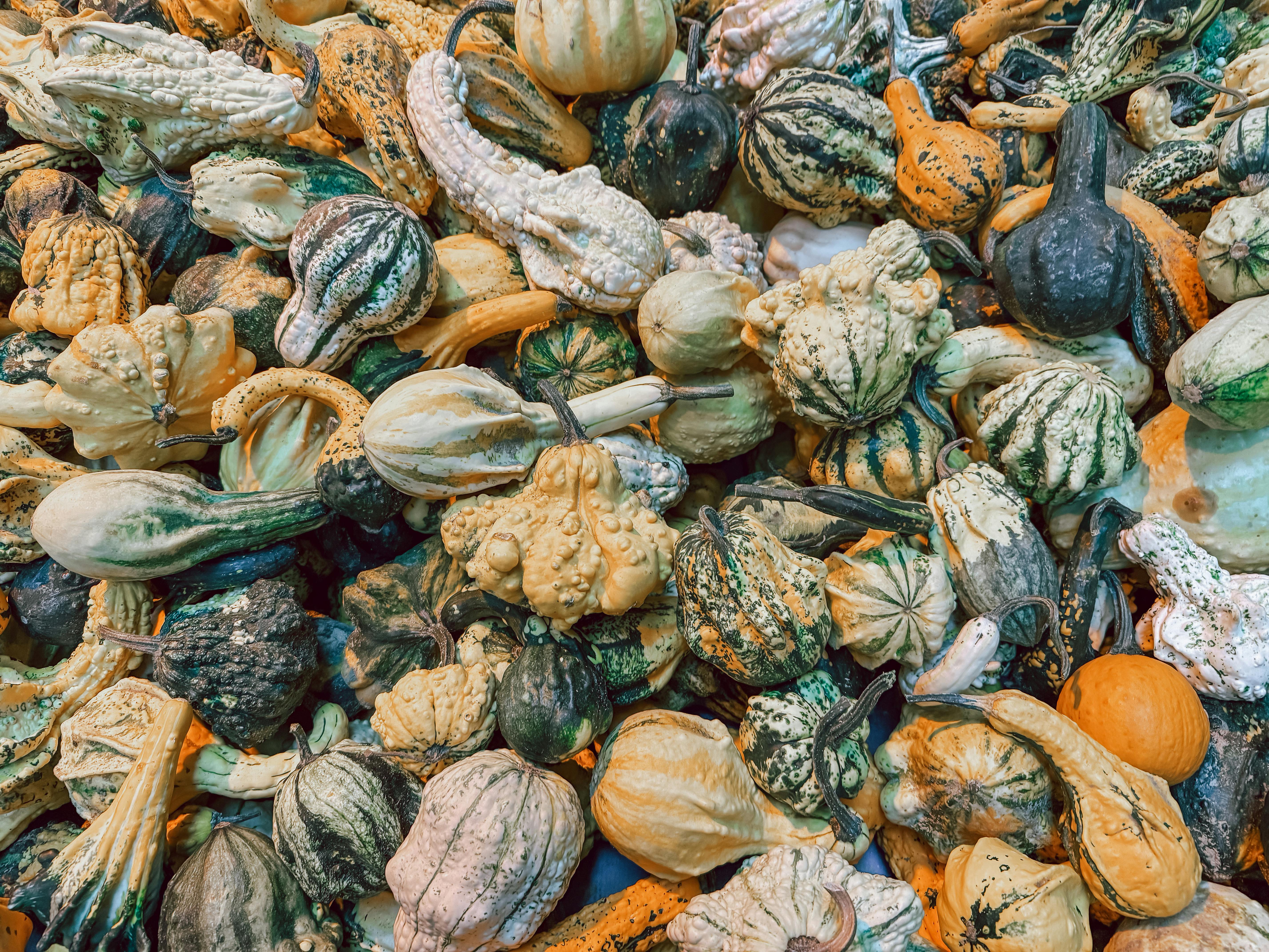 Leveraging Augmented Reality for Marketers: Boost Engagement and Innovation