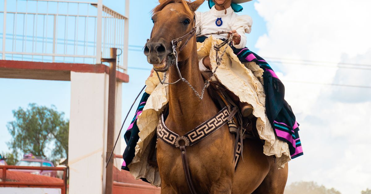 Traditional Charro Rider in Hidalgo, Mexico · Free Stock Photo