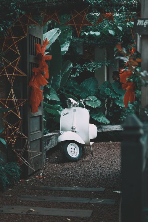 Free Classic white scooter parked in a tropical garden with lush greenery. Stock Photo