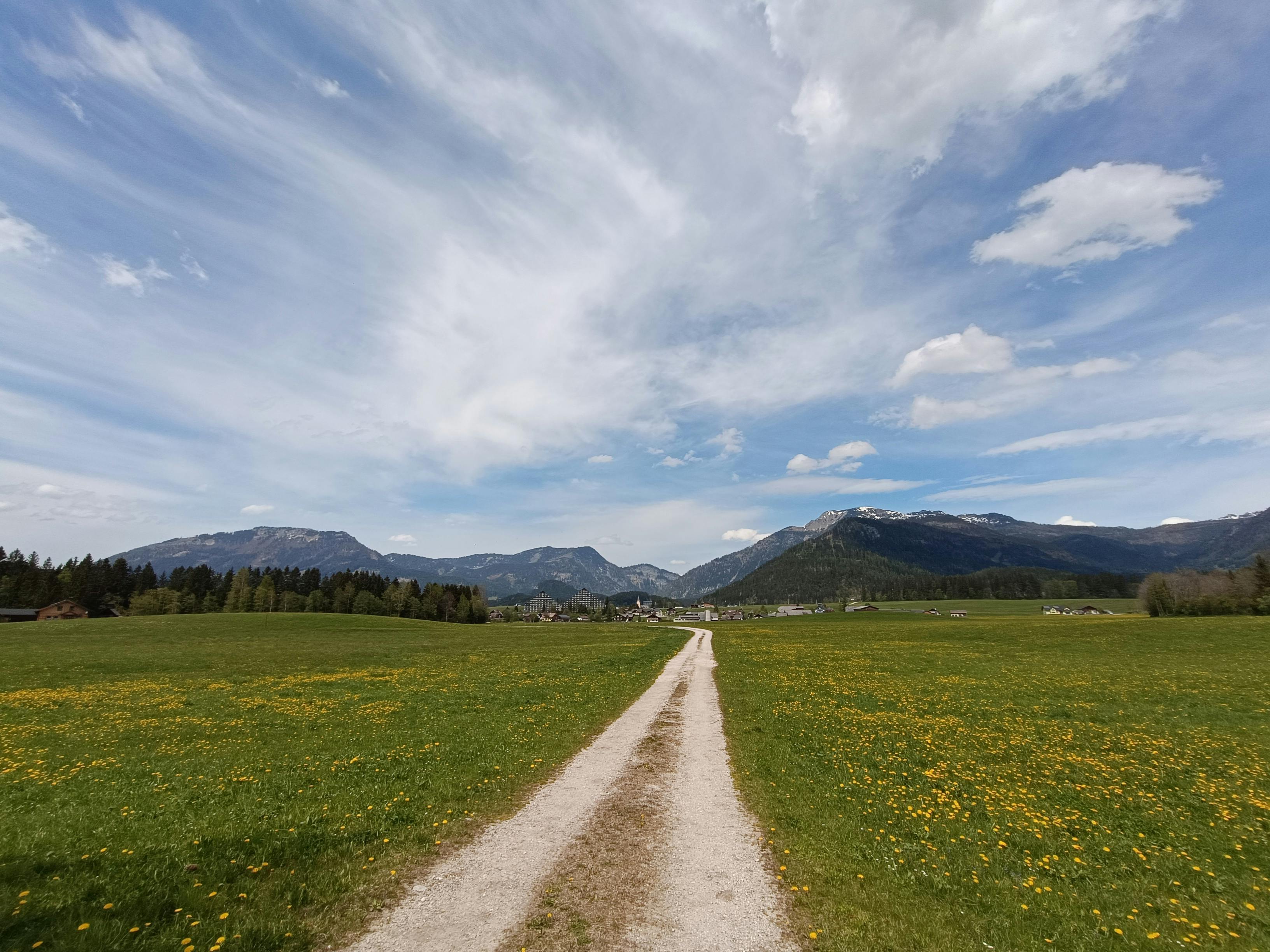好的，我会按照您的要求进行句子的调整