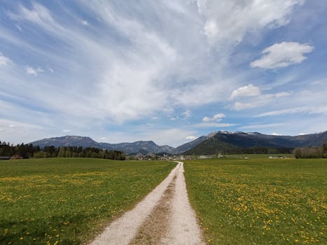 好的，我会按照您的要求进行句子的调整