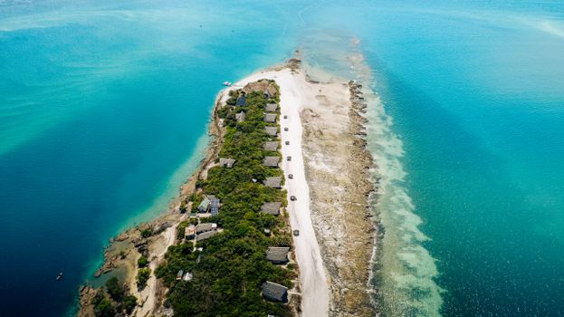 Prison Island giant tortoises — Zanzibar