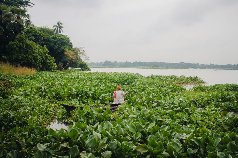 Immigrer en Bangladesh sans diplôme : est-ce possible ?