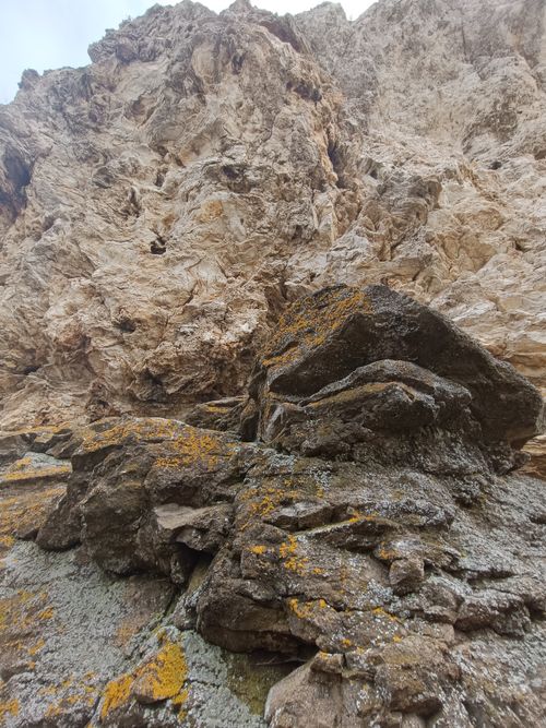 Free Imposing rocky cliff with distinctive lichen patterns and rugged textures in natural light. Stock Photo