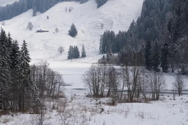 Le lac gelé en hiver
