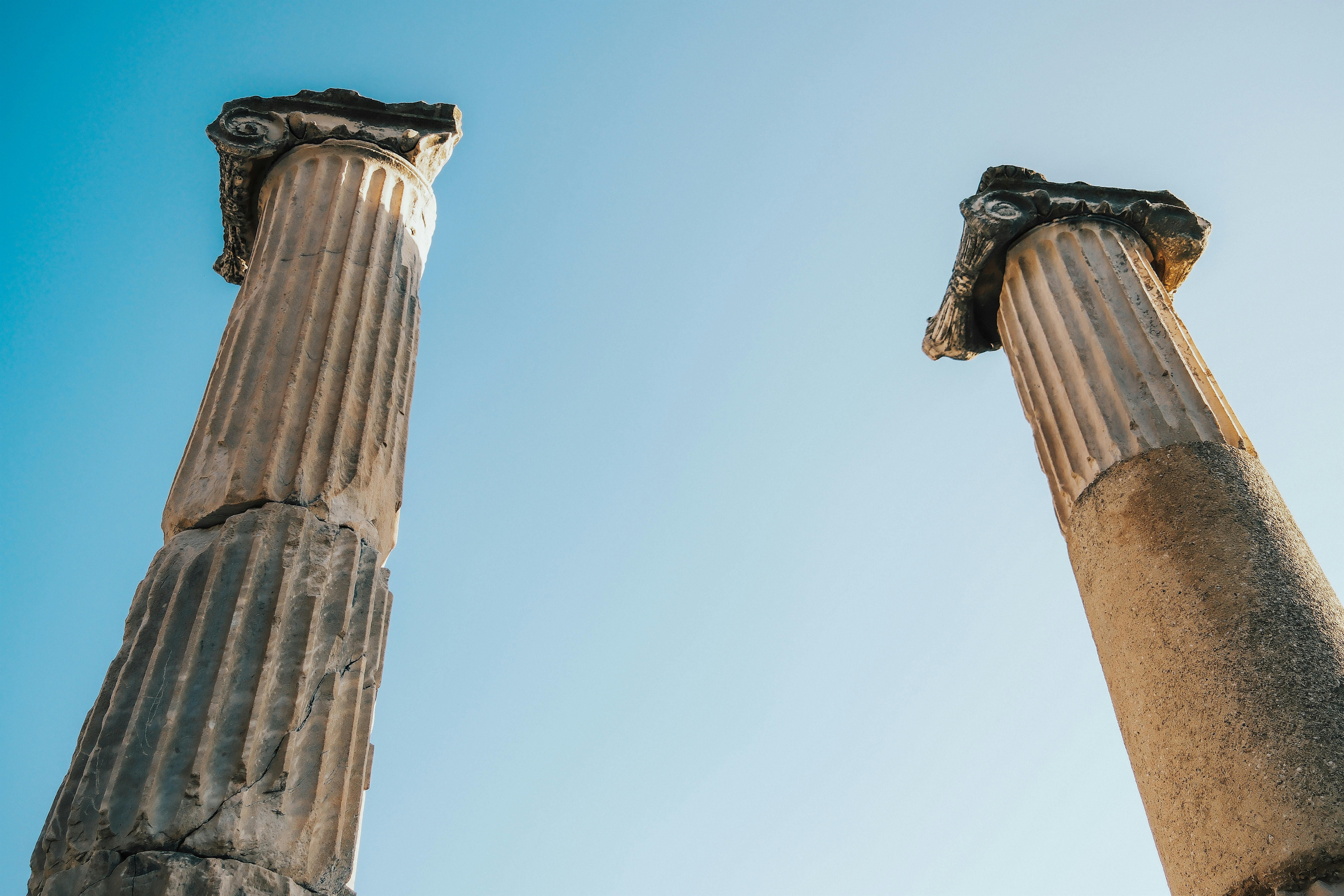 Opinion | This Is What Will Ruin Public Opinion Polling for Good — Photo by Sami TÜRK on Pexels