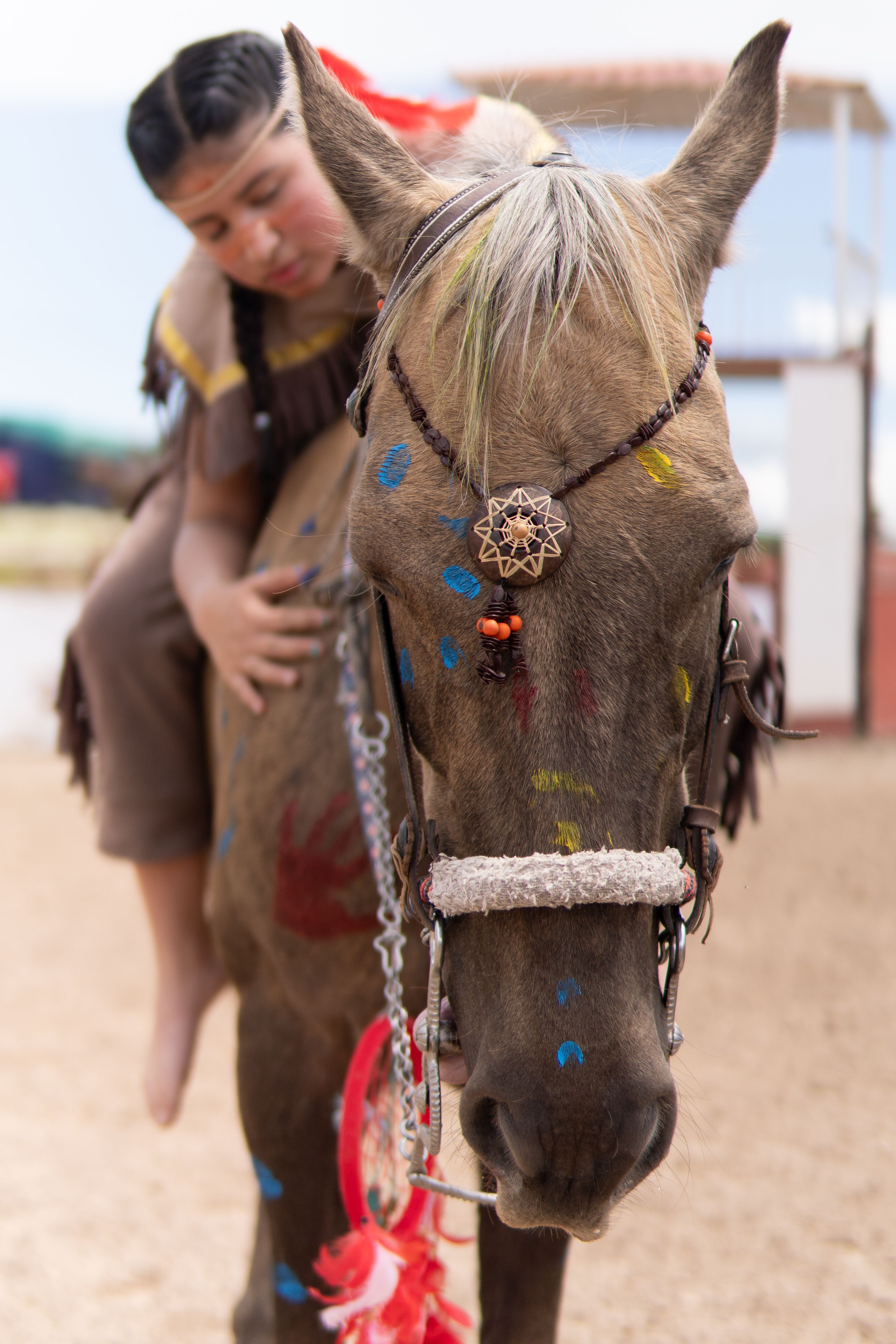 Cultural Horsemanship at Hidalgo Ranch · Free Stock Photo