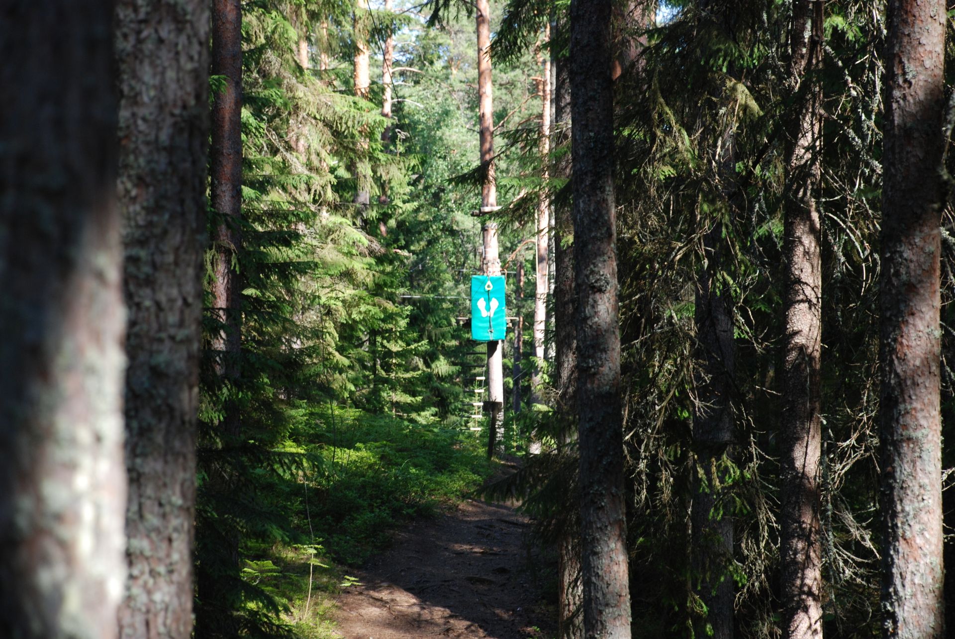A peaceful forest path with a nature trail sign amidst lush green trees.