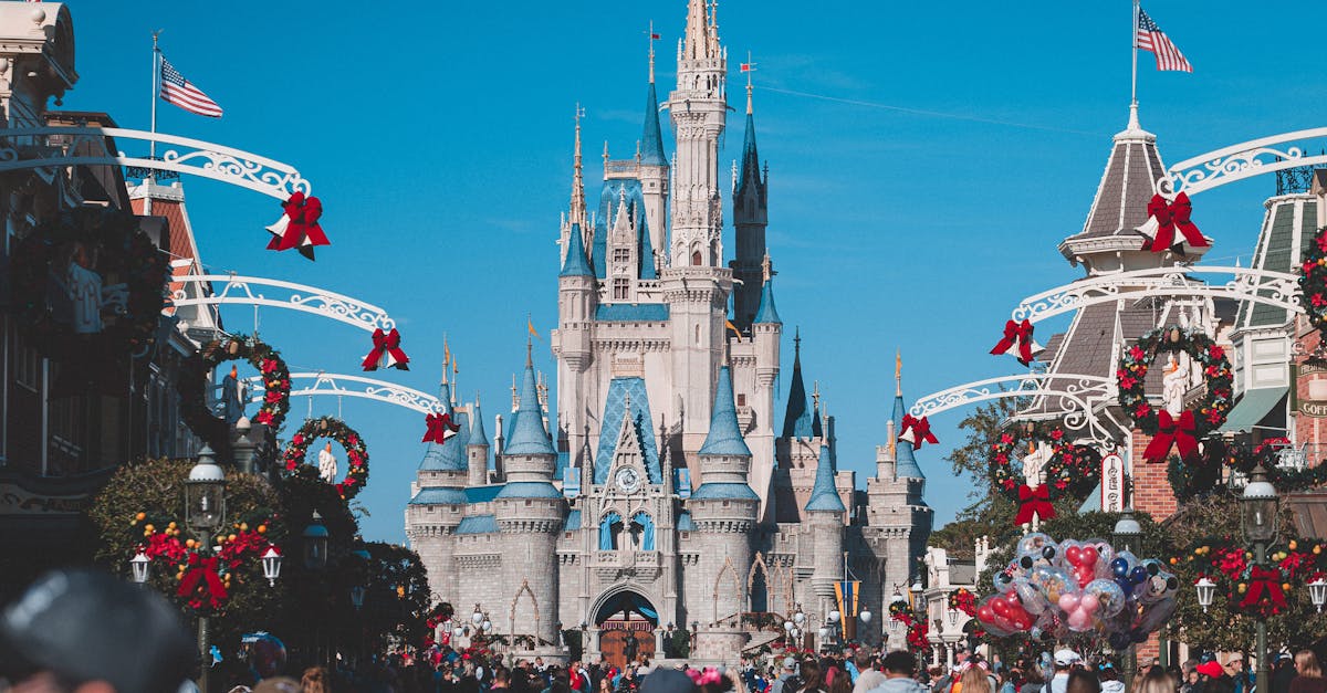 How much does a phlebotomist make in Tampa fl