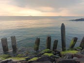 好的，我会根据您的要求进行句子的优化