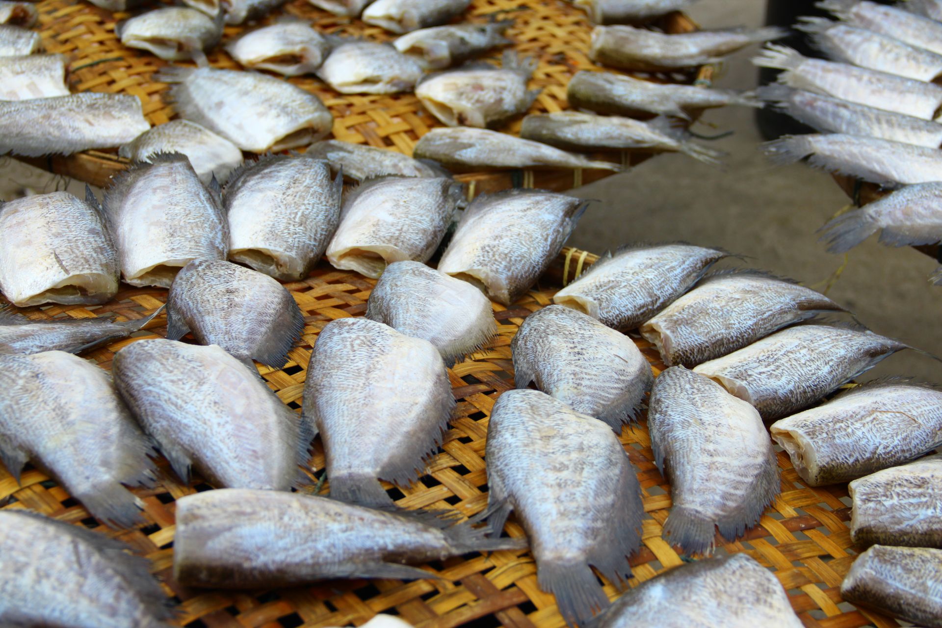 Fish drying in the sun on traditional bamboo trays, preserving for storage.