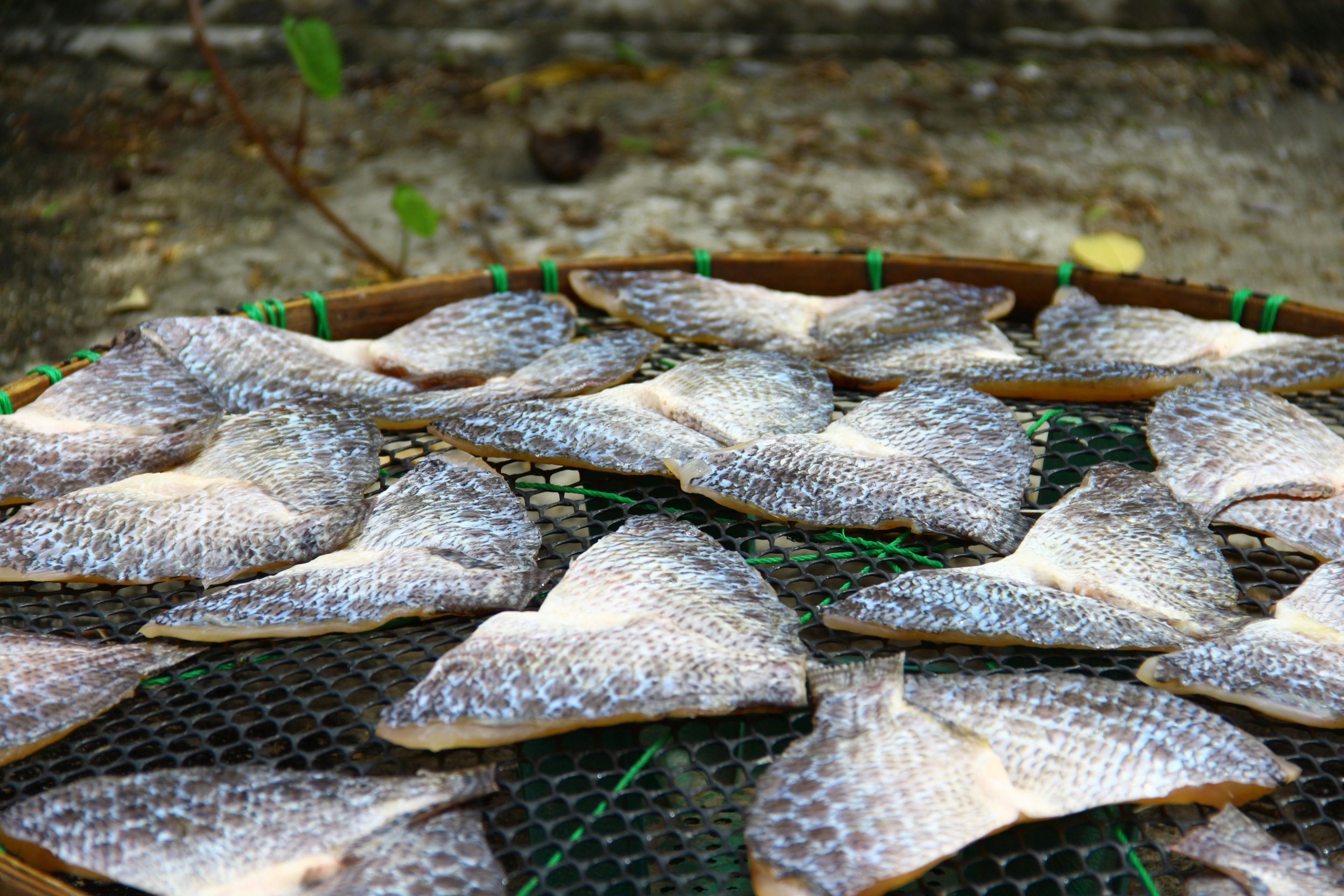 Silver-scaled fish fillets neatly arranged for drying on a woven basket outdoors.