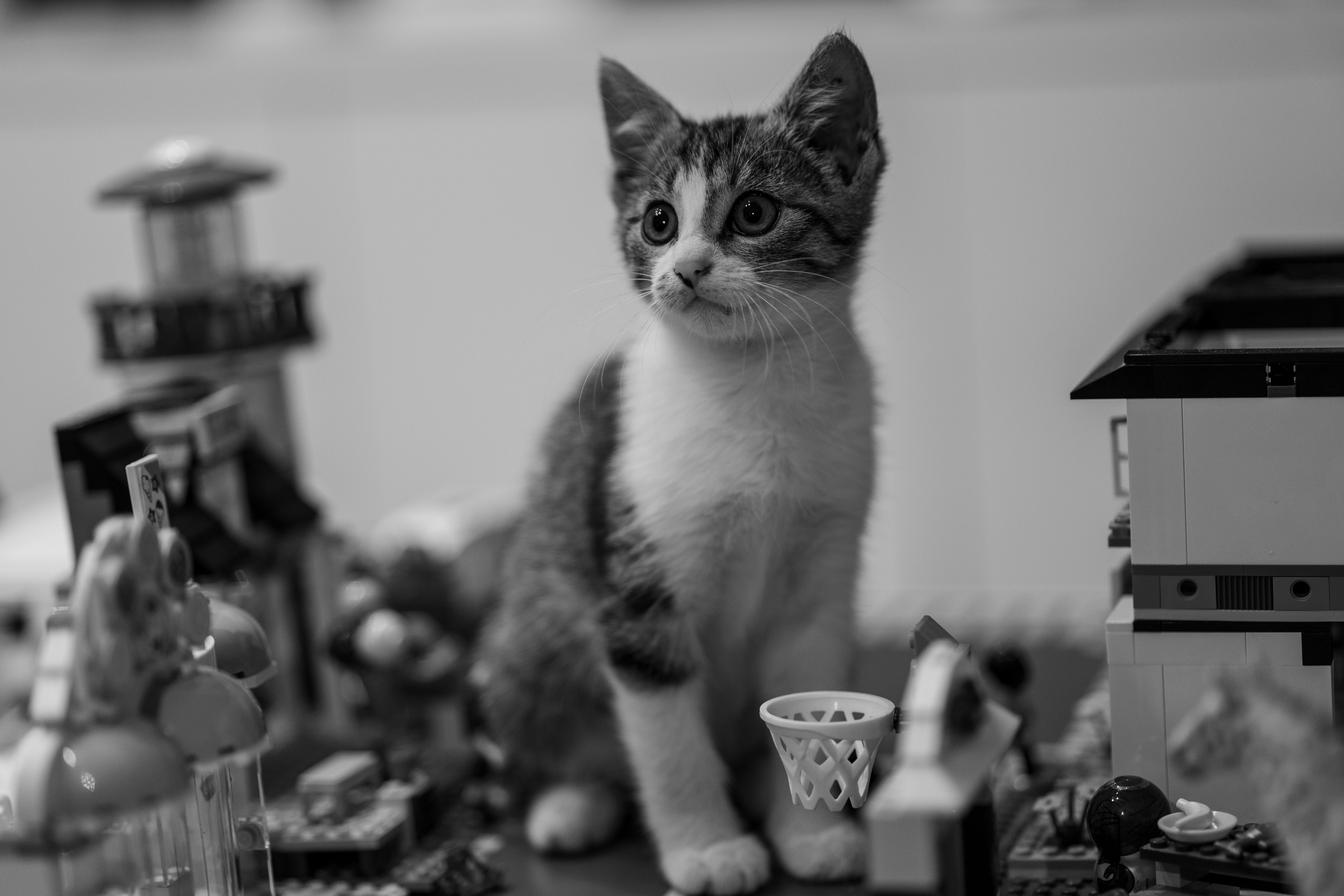 Unlock Unseen Potential Through Genre Buzzles