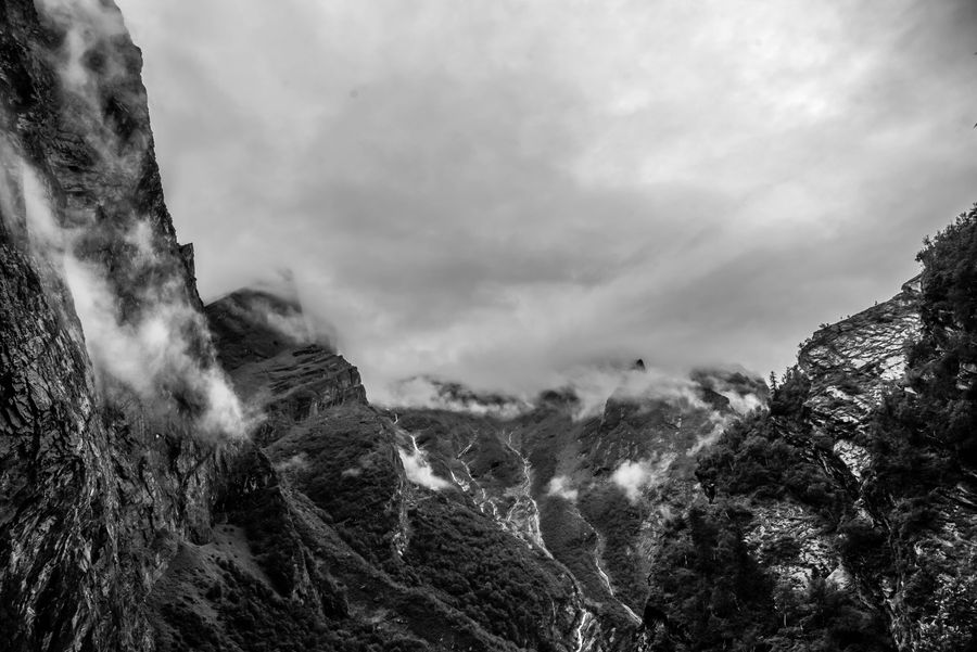 Valley of Flowers National Park photo 5