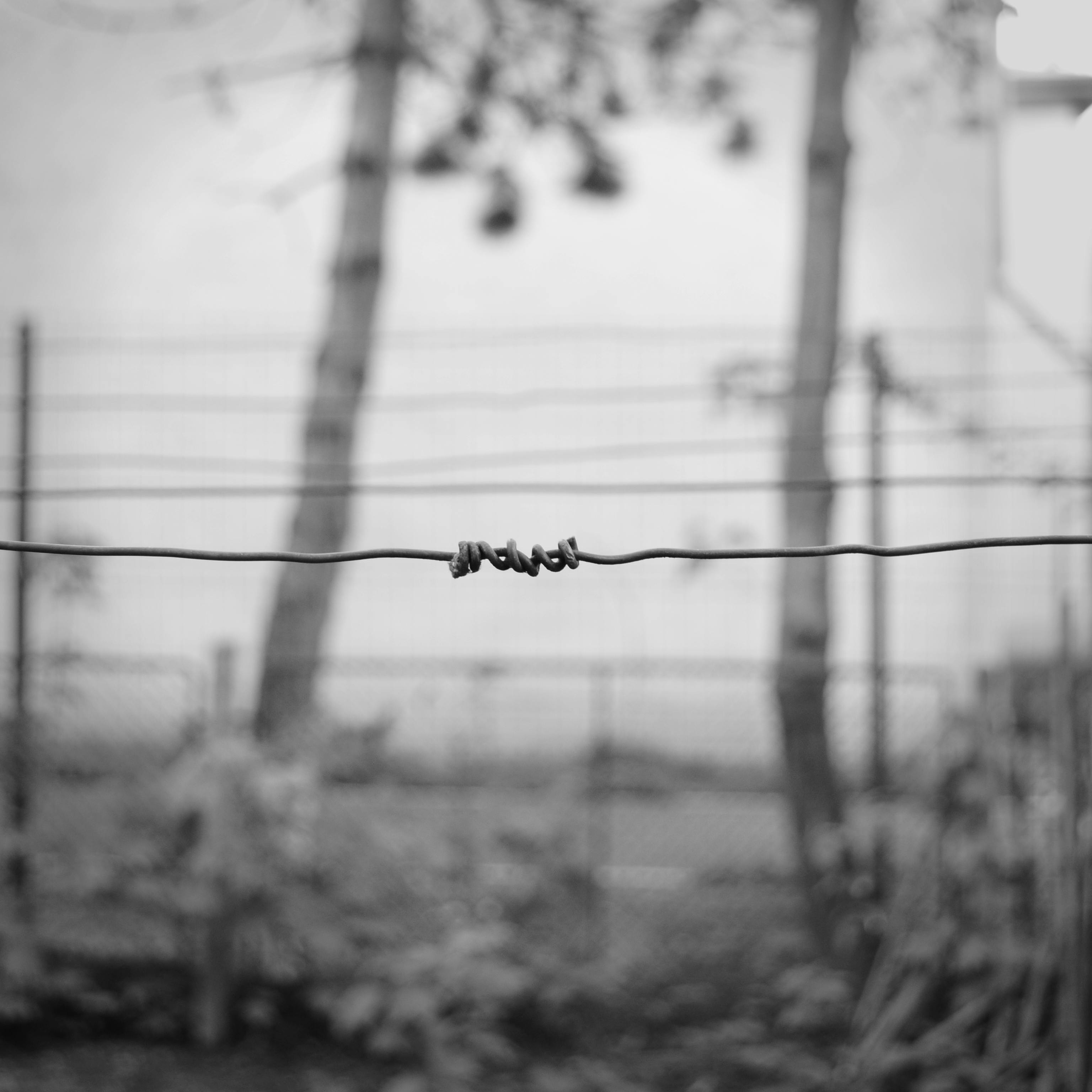 Free stock photo of barbed wire black and white depression