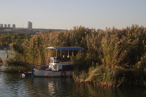 Free A peaceful boat moored among dense reeds on a lake in Ankara, showcasing nature's calmness. Stock Photo