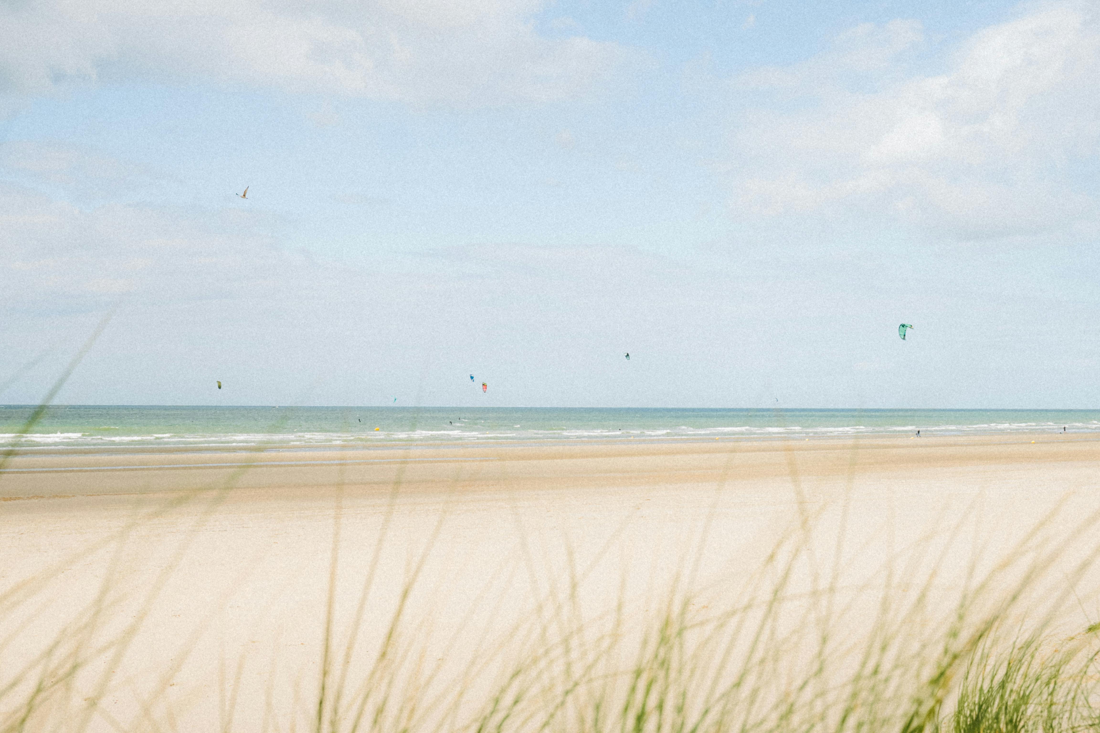 土銀王柏崴、梁恩碩國際賽雙雙摘金 展現台灣羽球實力