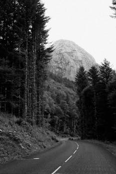 Black and white photo of a winding forest road with a mountain backdrop in Auvergne-Rhône-Alpes, France.