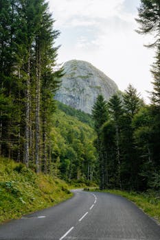 A winding road through lush forests leading to a mountain in Auvergne-Rhône-Alpes, France.