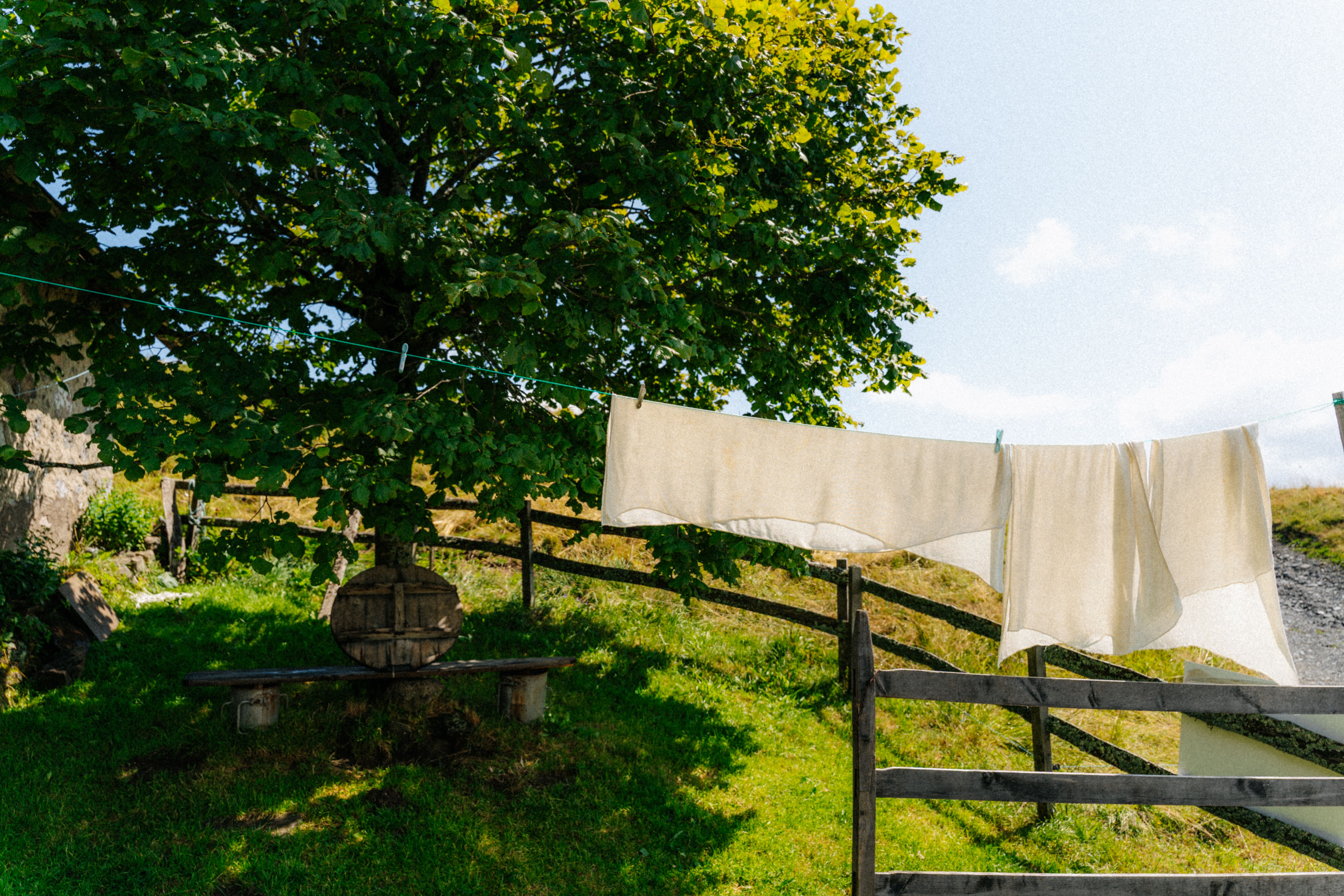 White linen drying on a line by a field fence, roughly the mood Toast has been selling since 1997.