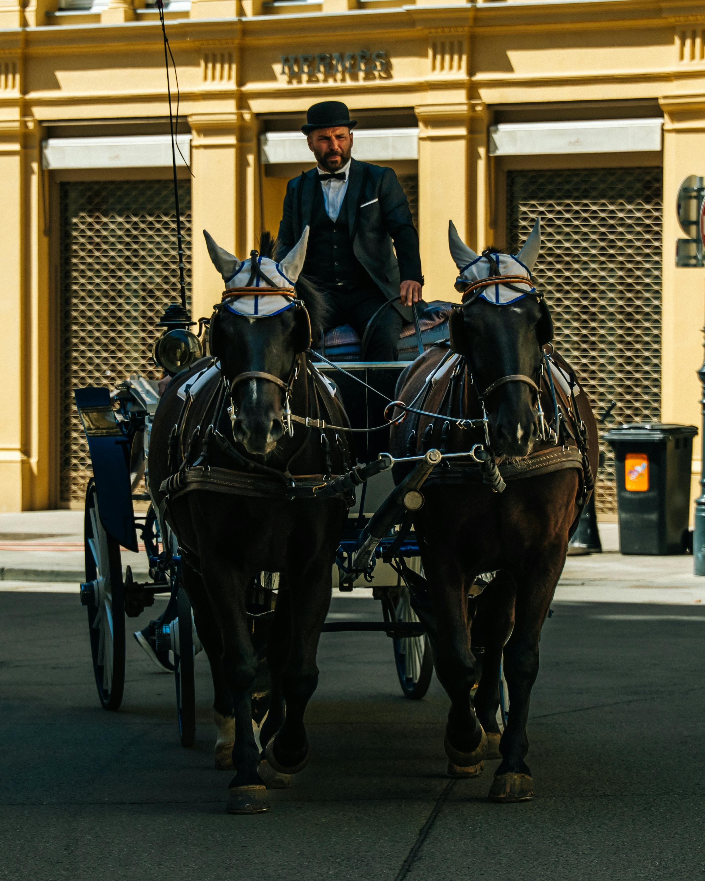 Free A vintage horse-drawn carriage rides through a city street, showcasing classic charm and style. Stock Photo
