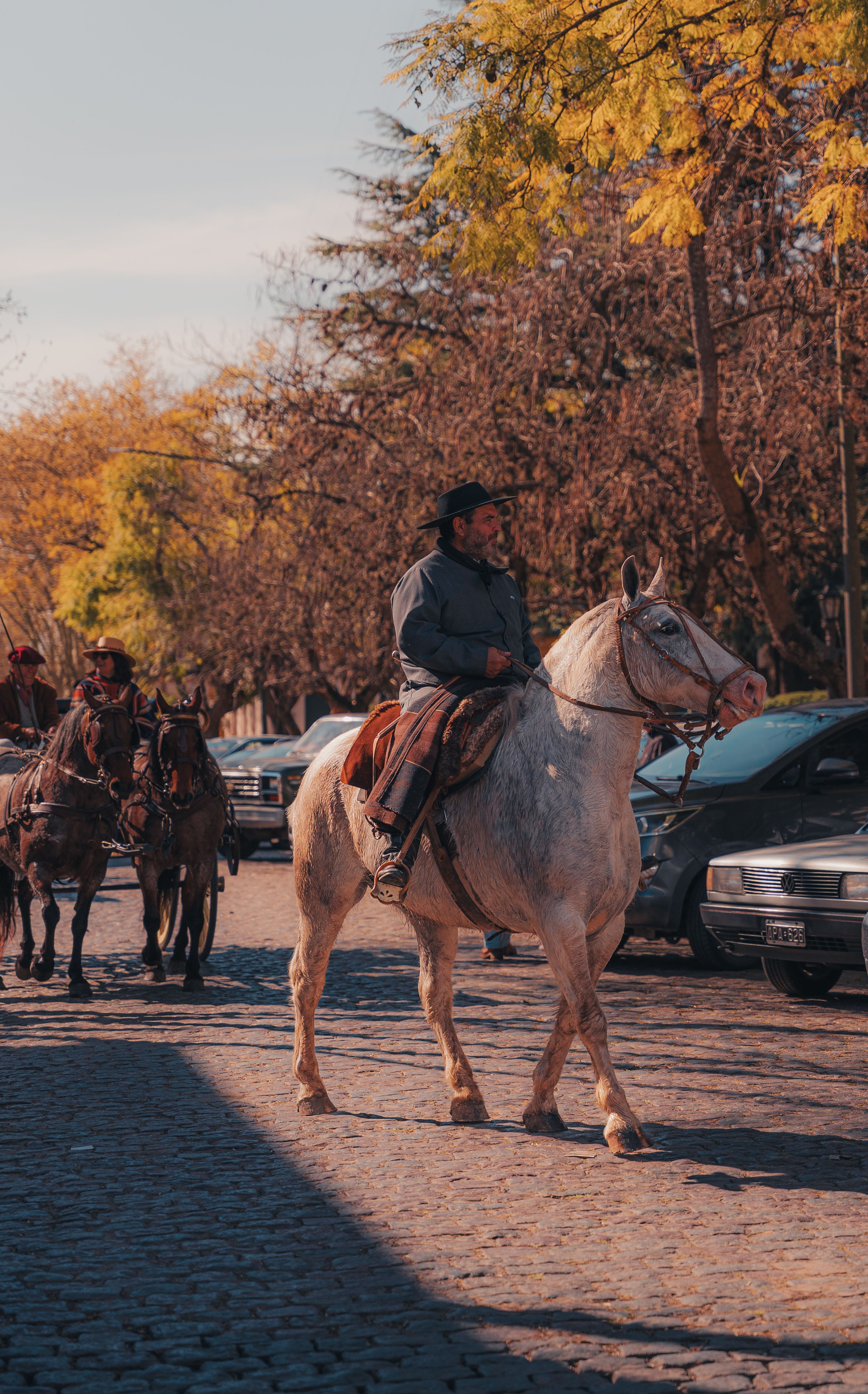 Traditional Horseback Ride in Historic Town Street · Free Stock Photo