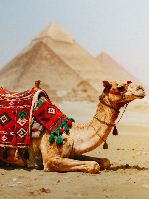 Egypt
