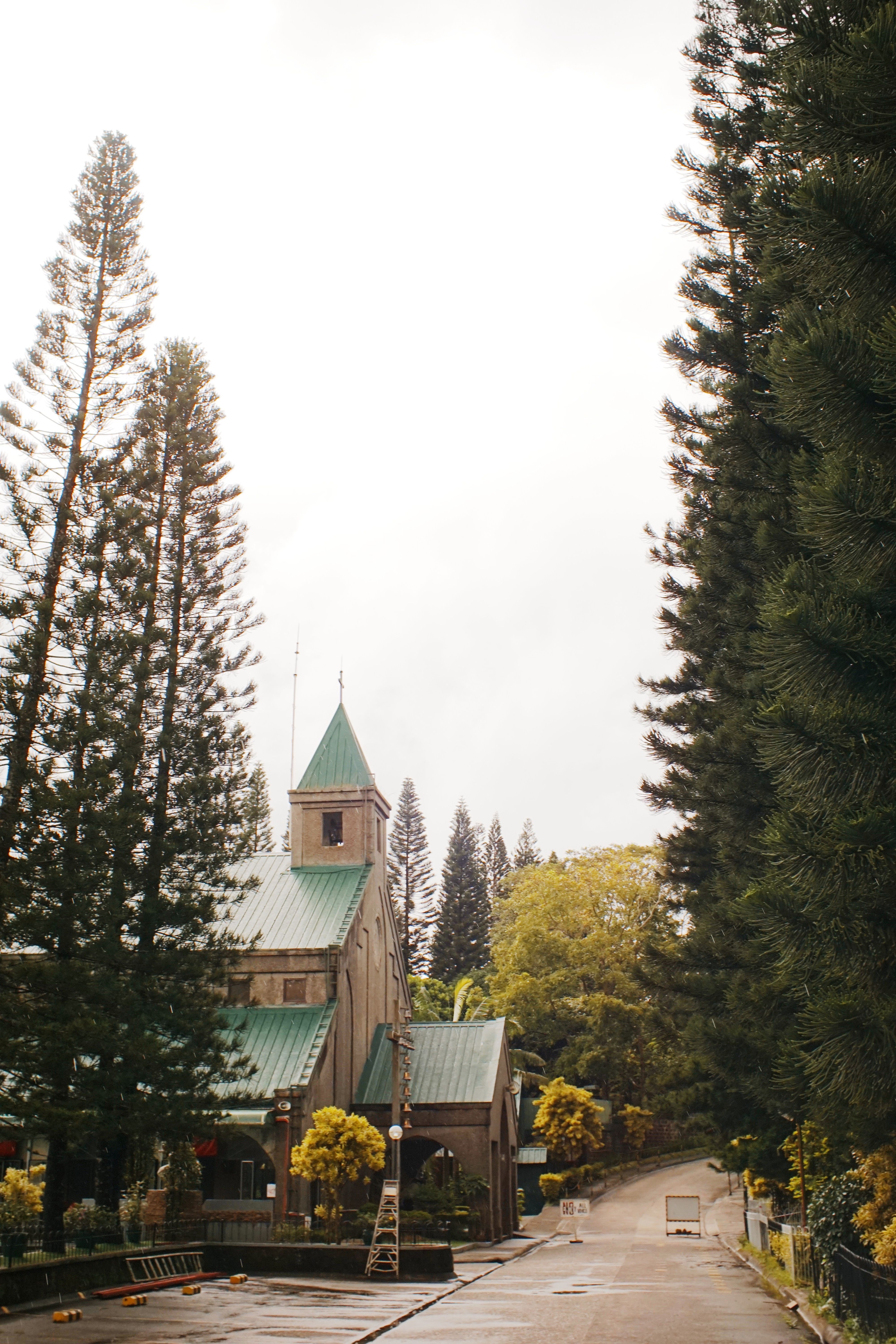Charming Church Surrounded by Lush Pine Trees · Free Stock Photo