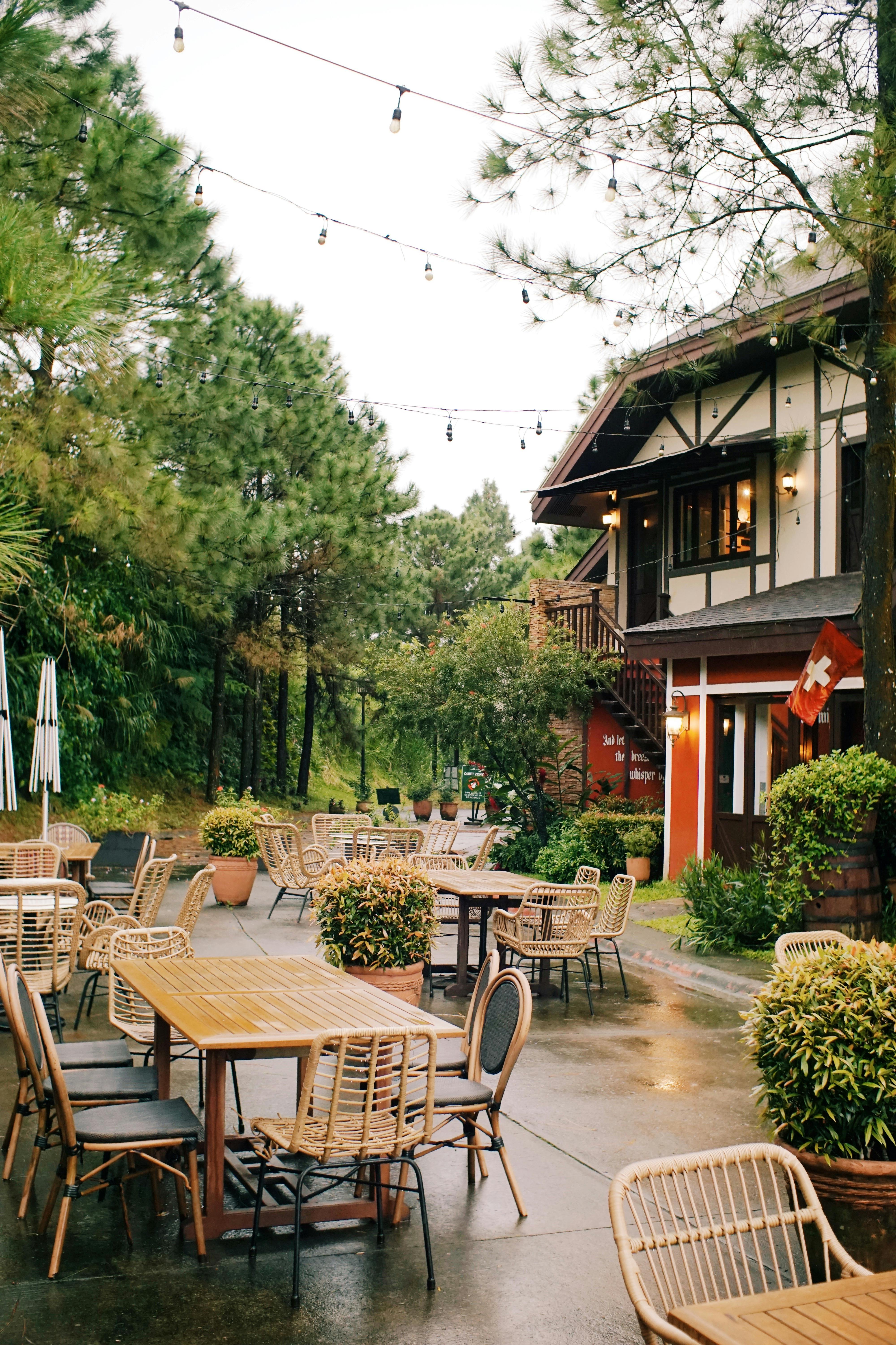 Gratuit Cafenea confortabilă în aer liber, înconjurată de o pădure luxuriantă și o lumină caldă. Fotografie de stoc