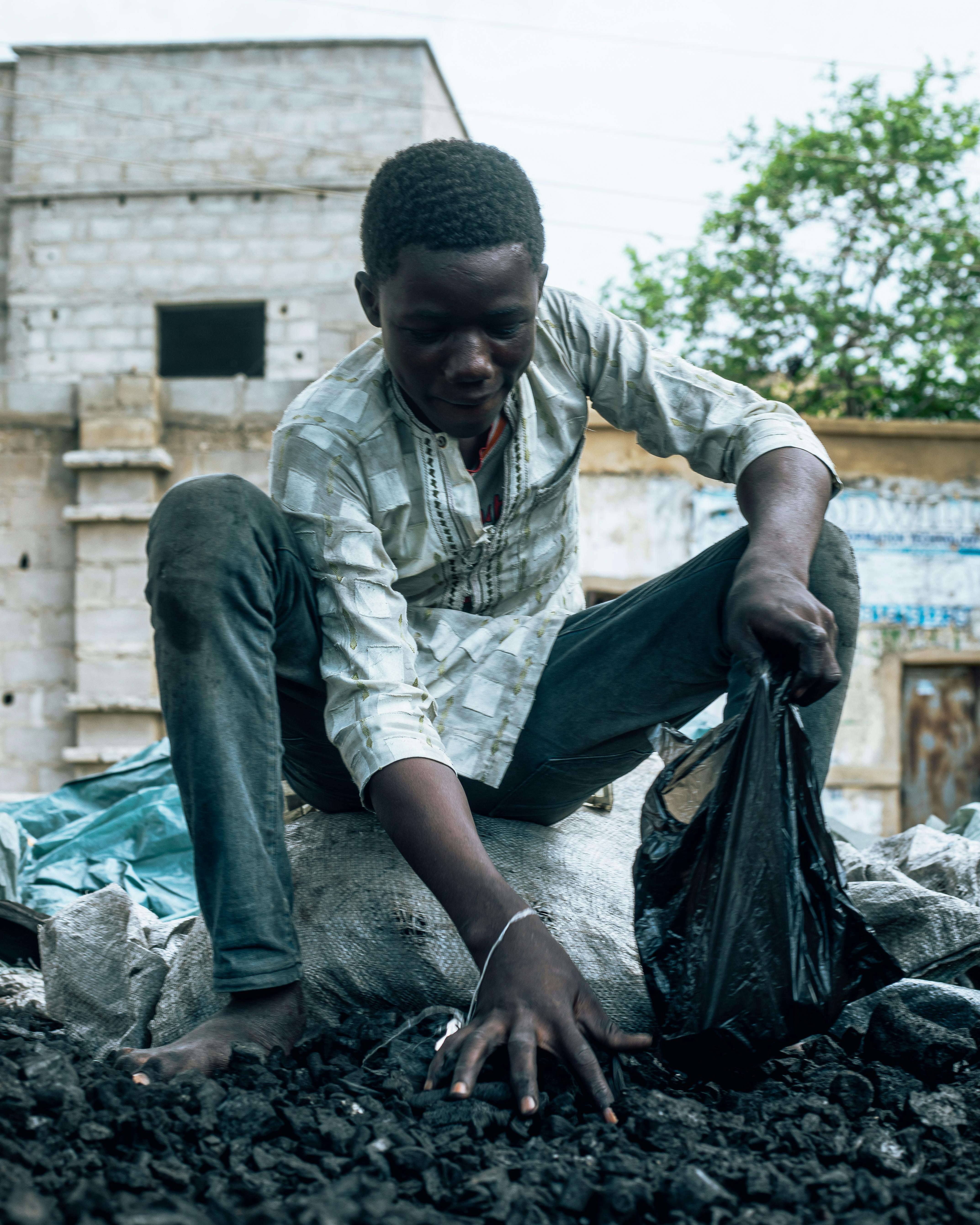 urban trees environmental benefits