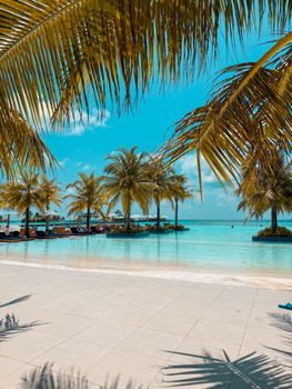 Beautiful tropical island resort with a stunning poolside view under palm trees against a clear blue sky.