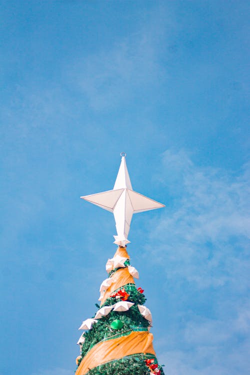 Foto d'estoc gratuïta de a l'aire lliure, adorn nadalenc, arbre de Nadal