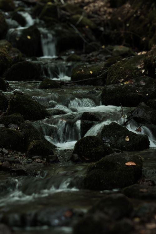 Free A peaceful mountain stream cascading gently over moss-covered rocks in a lush forest. Stock Photo