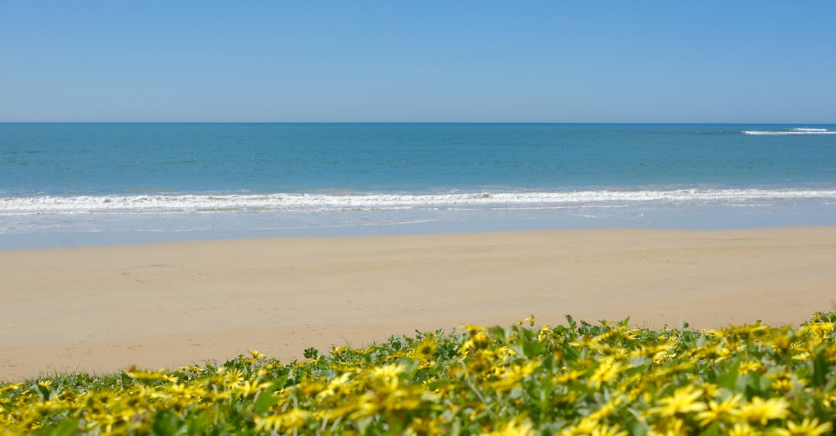 國際:AI助力美日韓股市大漲 川普喊裁員也難擋多頭氣勢