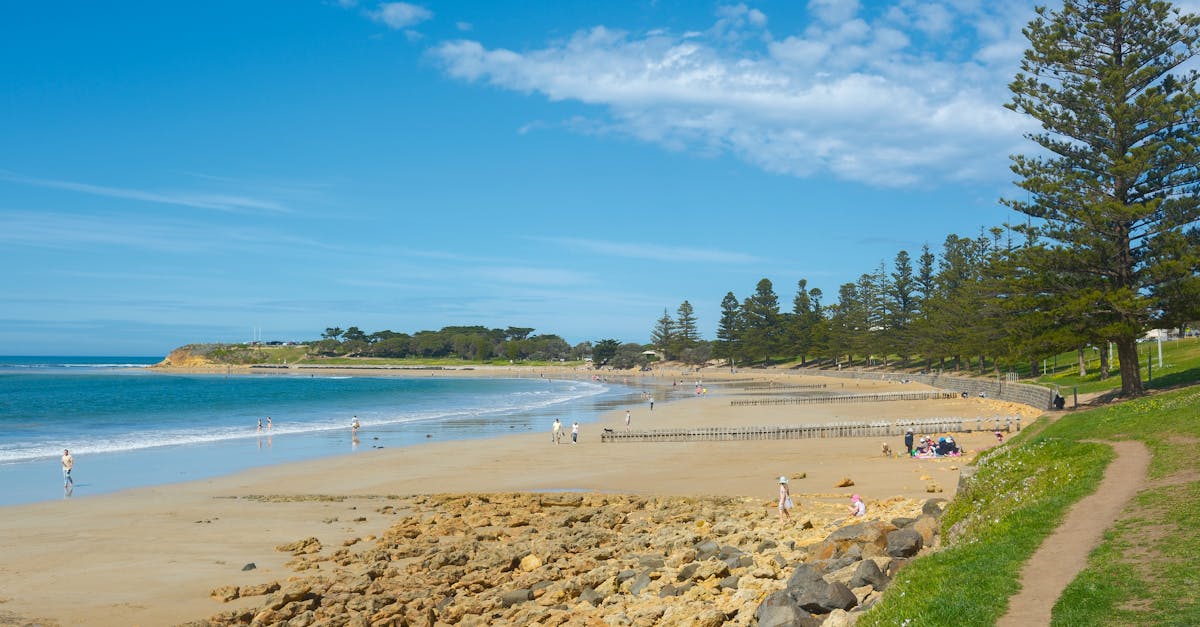 2025臺灣國際衝浪公開賽11月4日開賽 國際選手火熱報名中