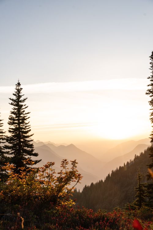 Serene Mountain Sunrise with Pine Trees · Free Stock Photo