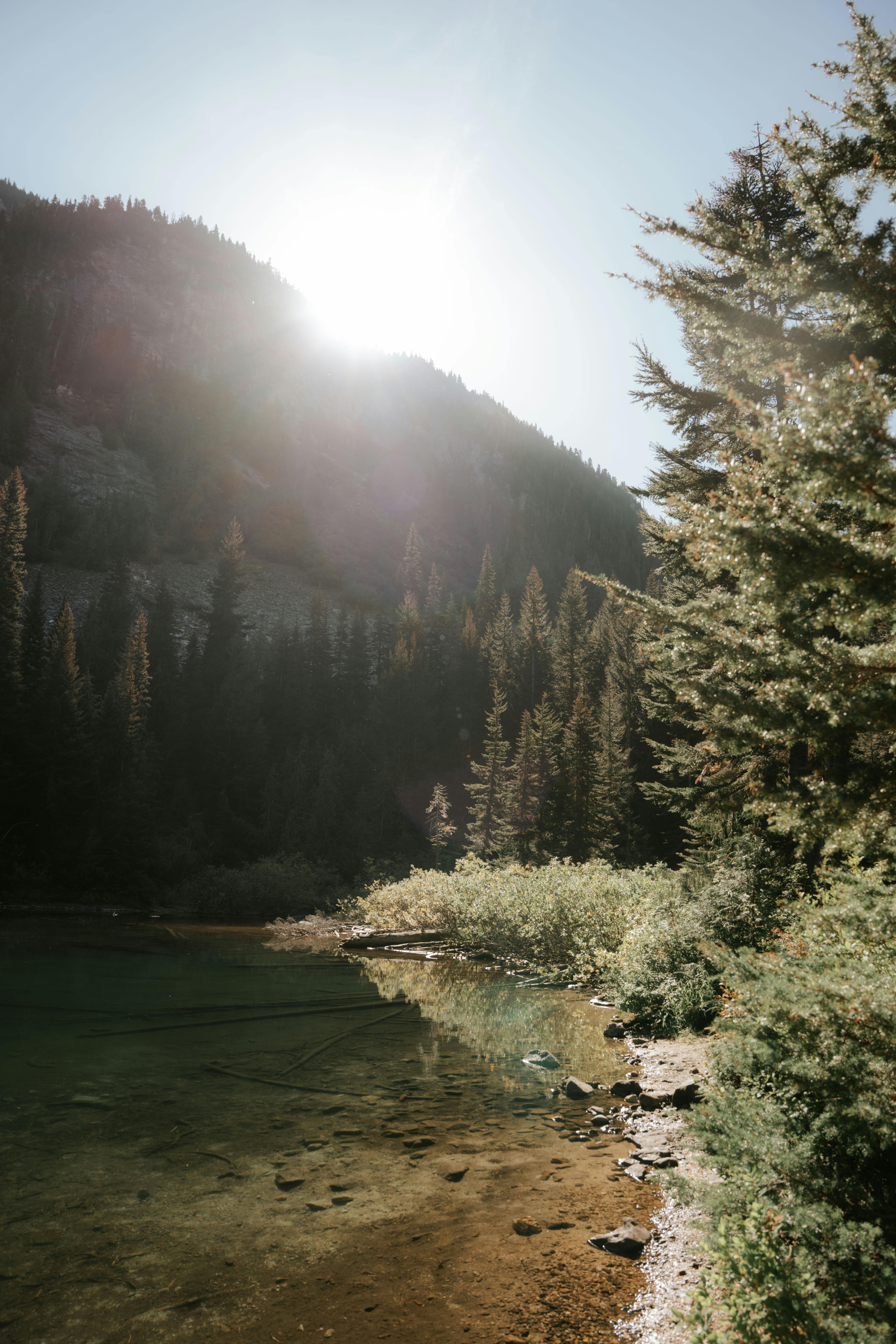 好的，我会按照您的要求进行句子的调整