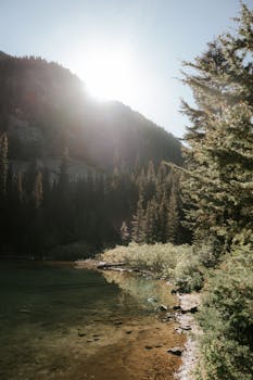 好的，我会按照您的要求进行句子的调整