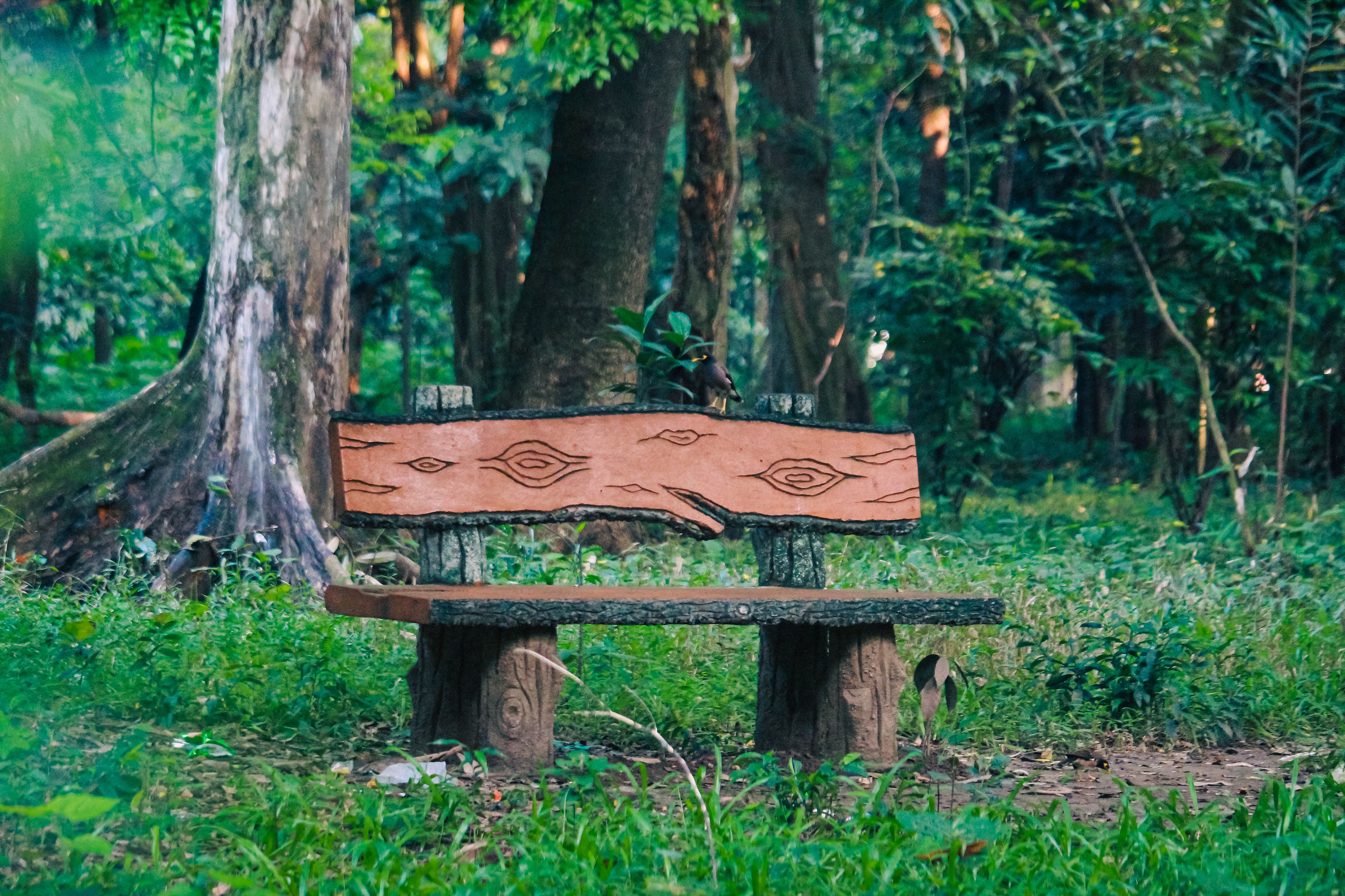 Handcrafted Wooden Bench