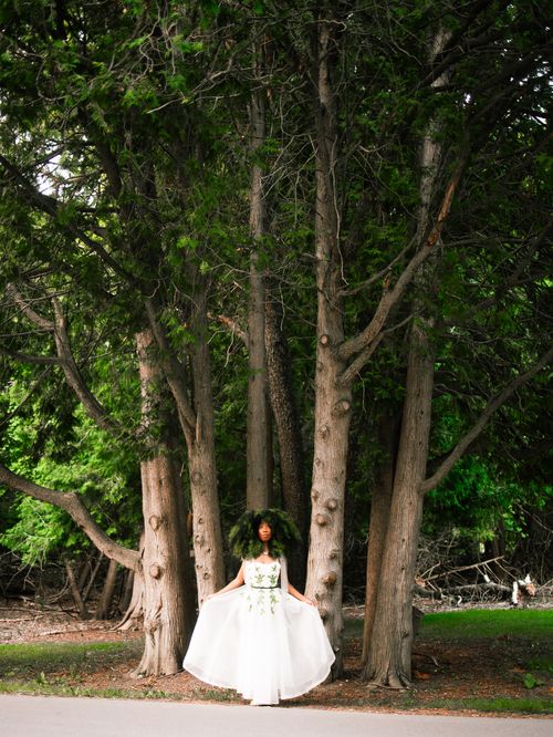Free A bride in a flowing gown stands gracefully amidst tall, lush trees. Stock Photo