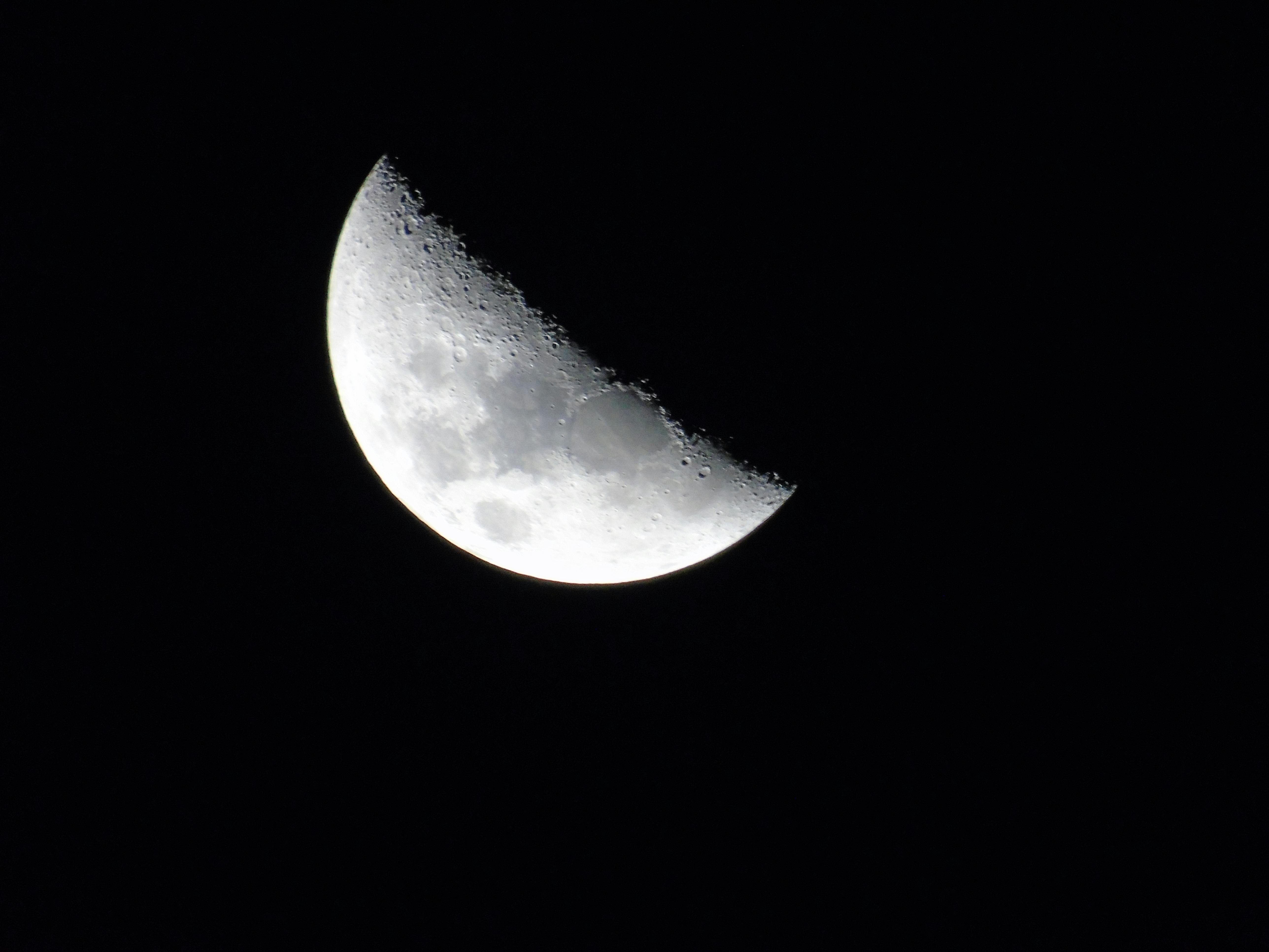 Free stock photo of half moon, moon