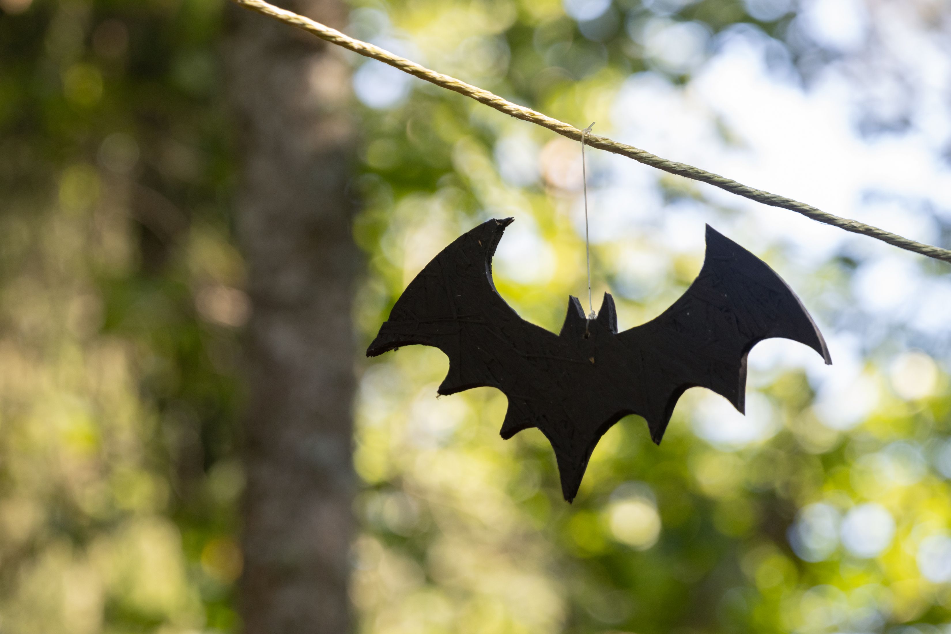 Halloween Bat Decoration Outdoors in Gārsene · Free Stock Photo
