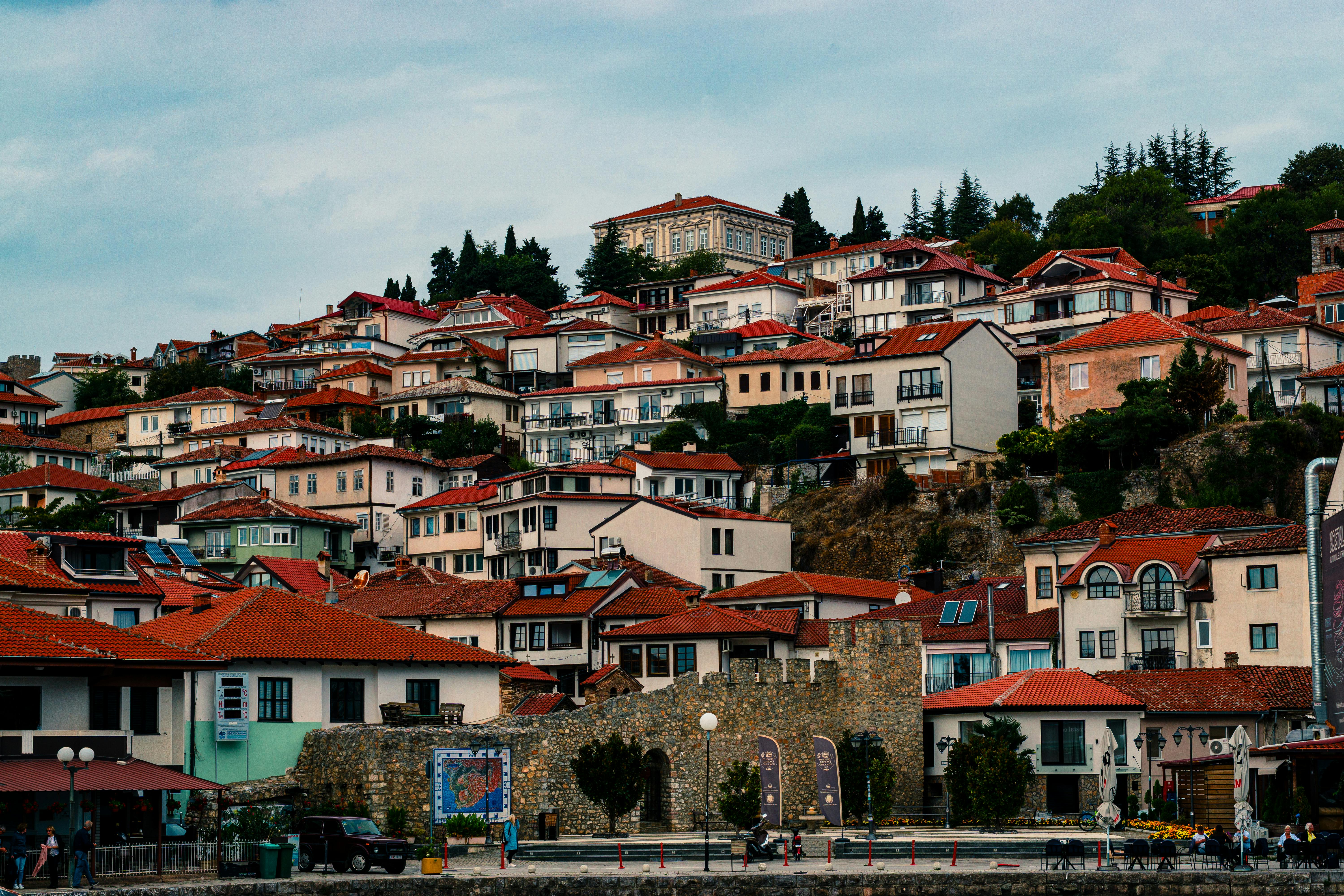 郝龍斌提名羅智強、鄭麗文任副主席 張亞中批宮廷政治作風