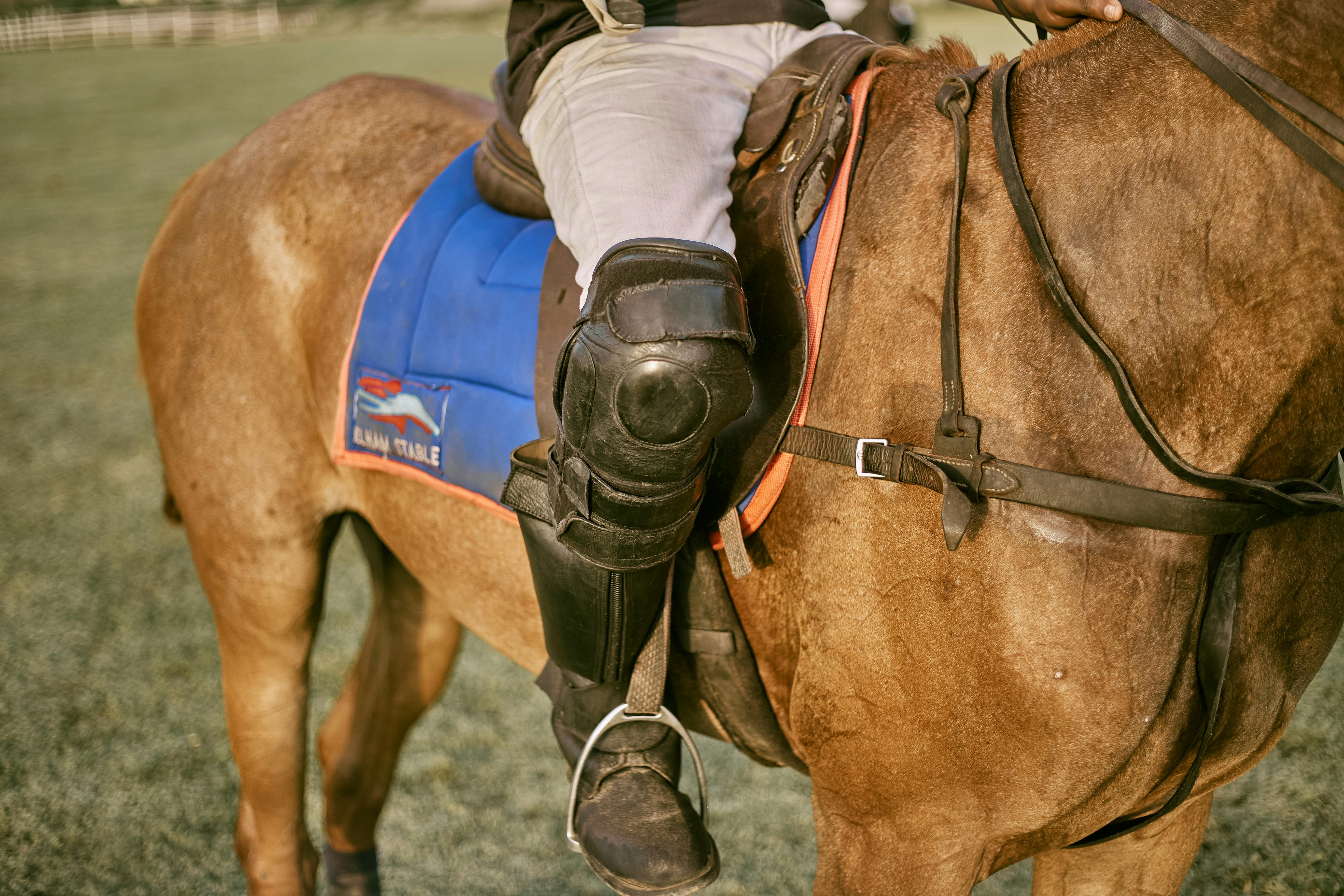 奧運代表隊主力傷內側副韌帶 將缺席兩場關鍵國際賽