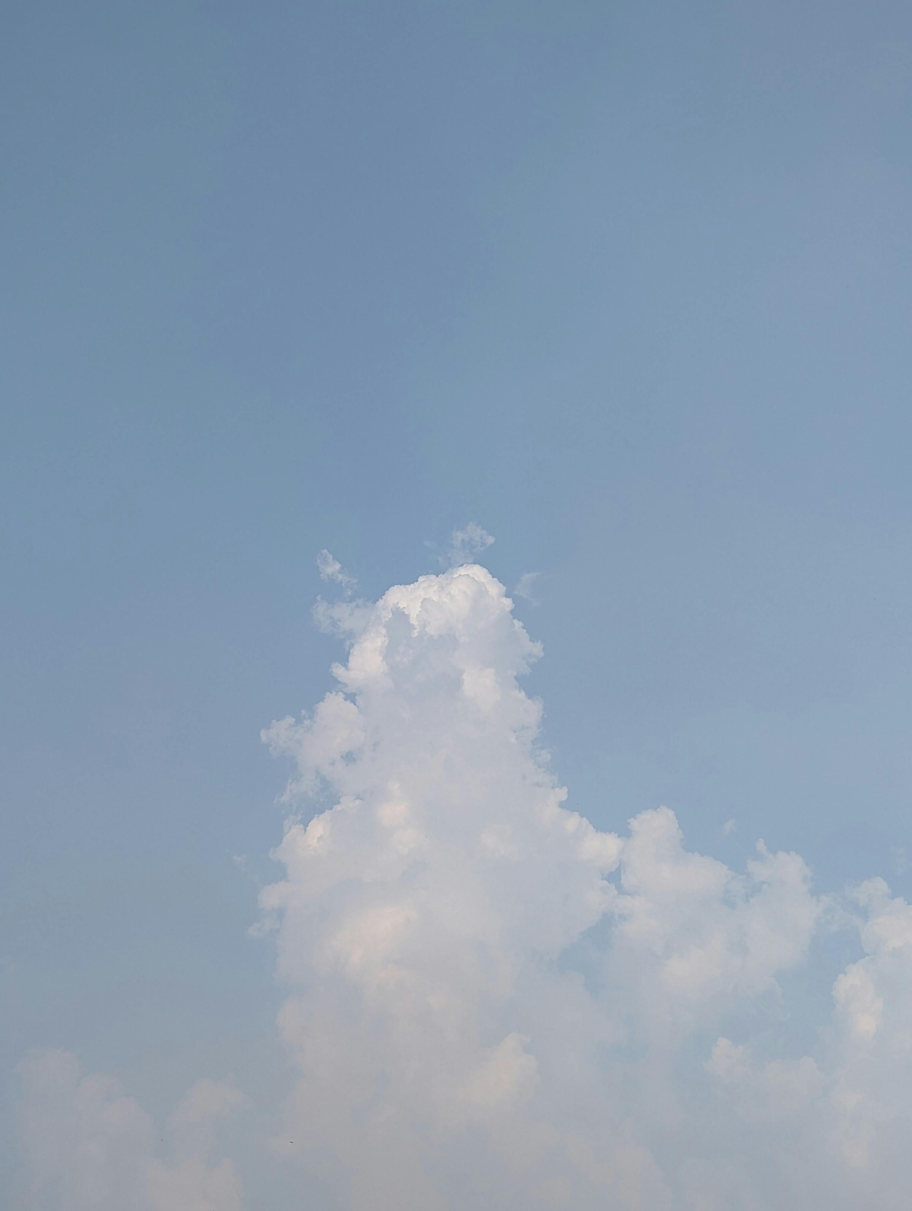 您的请求中没有提供具体的文本内容，因此我无法直接进行优化