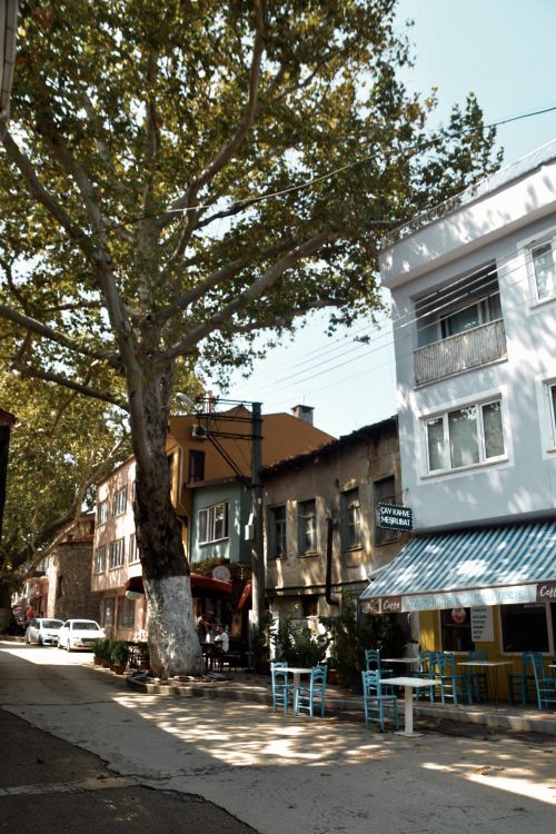 Free Idyllic street scene showcasing outdoor cafes under shady trees. Stock Photo