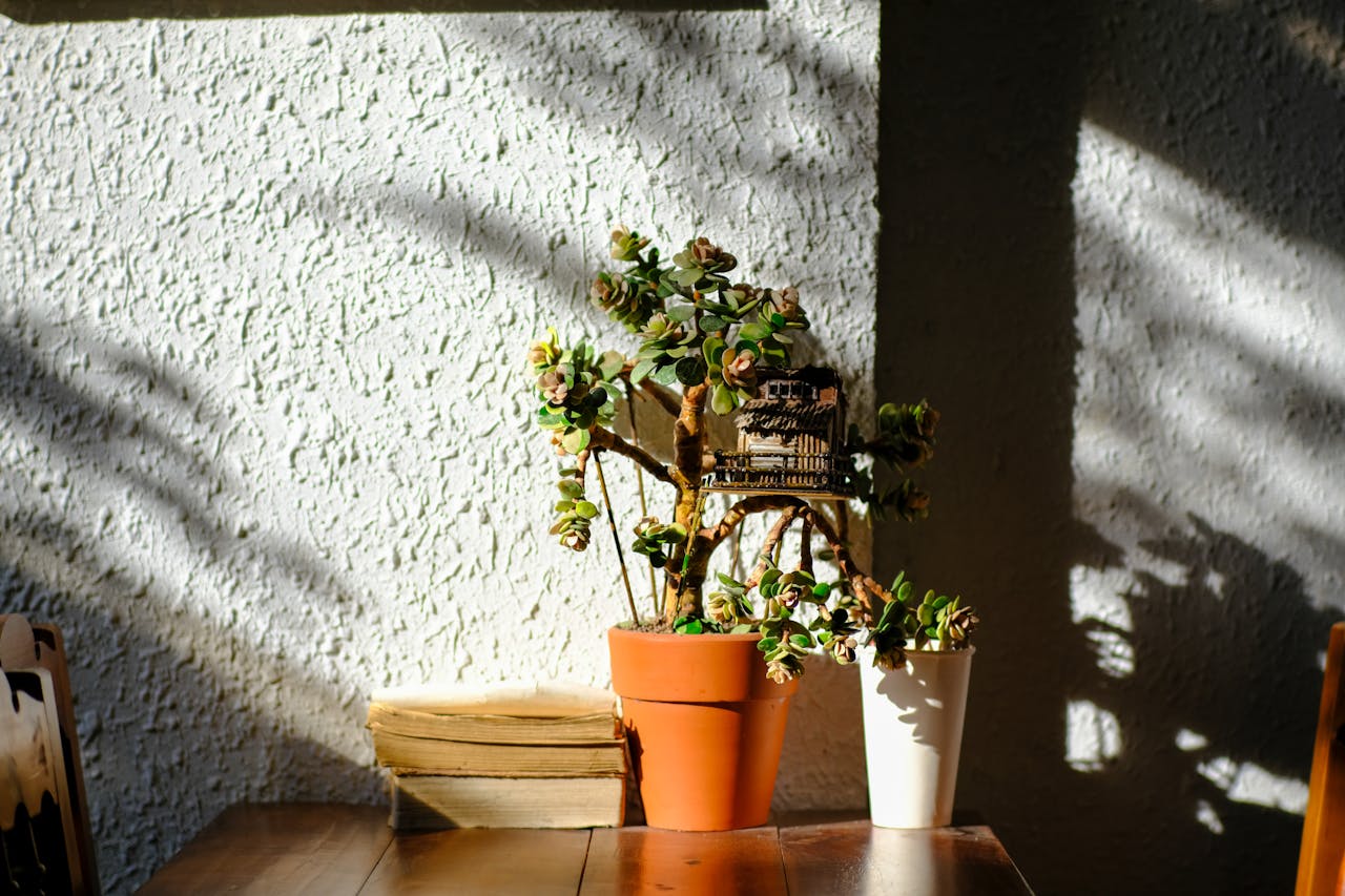 Thám tử lừng danh Conan | Chương 1005