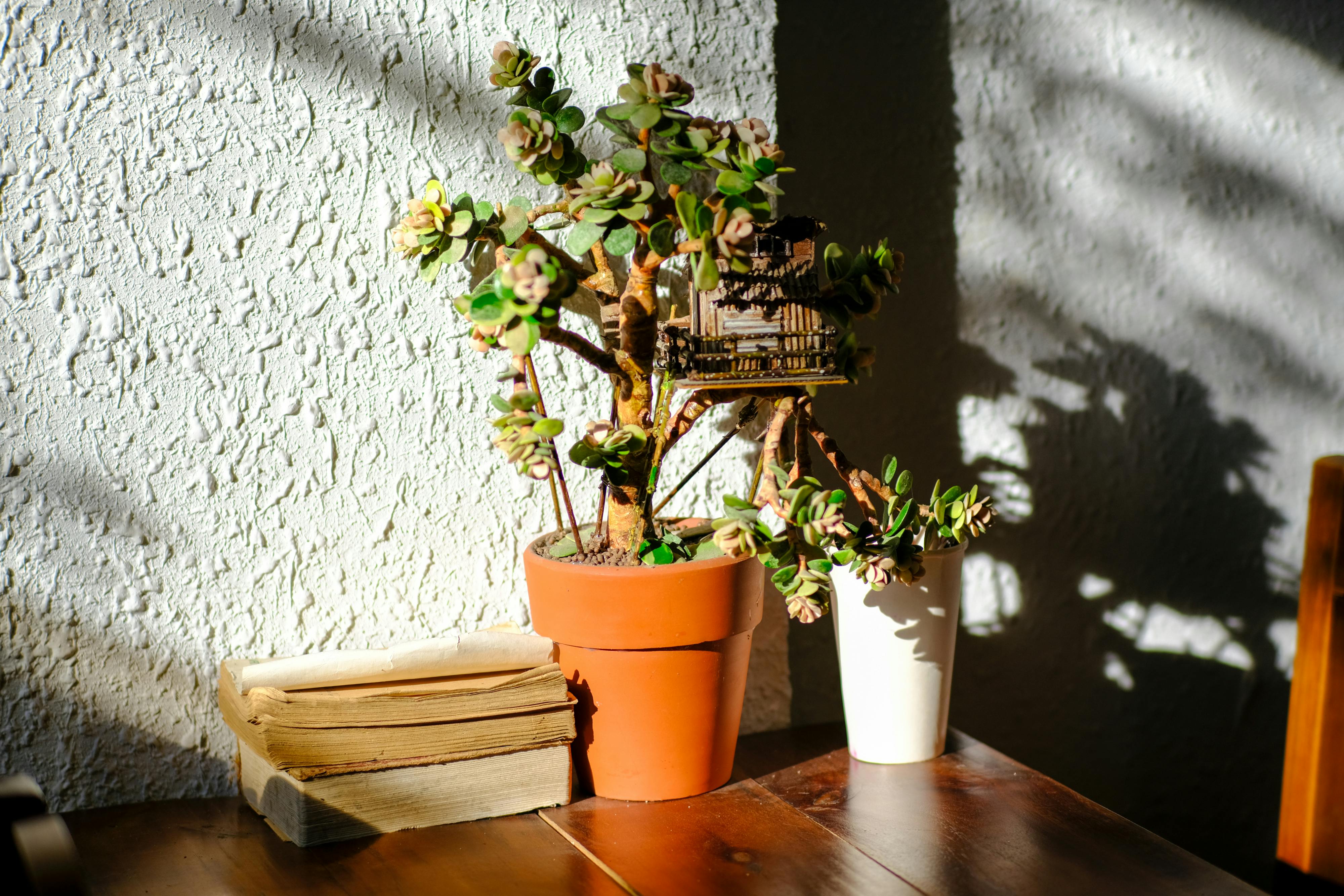 Danh sách theo thẻ thien-van